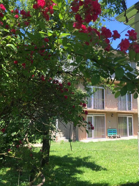 Ferienwohnung Dani'S House Kobuleti Exterior foto